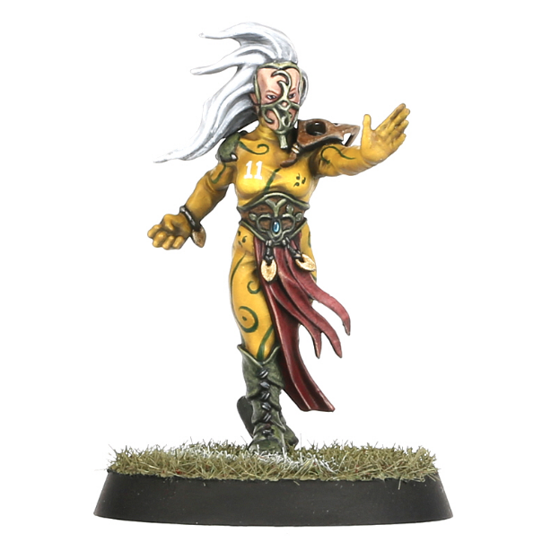 WARHAMAMER BLOOD BOWL: WOOD ELF TEAM-1593700319.png