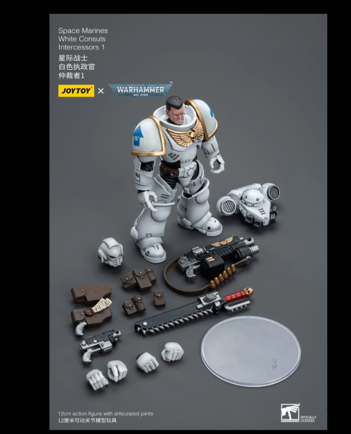 (JOYTOY) Space Marines White Consuls Intercessors 1 JT6847-1697271388.png