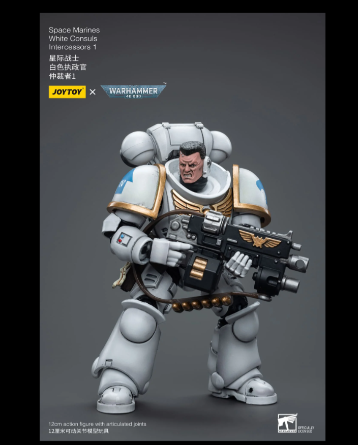 (JOYTOY) Space Marines White Consuls Intercessors 1 JT6847-1697271391.png