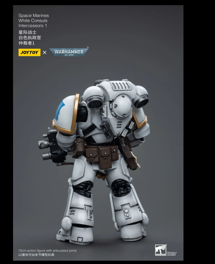 (JOYTOY) Space Marines White Consuls Intercessors 1 JT6847-1697271392.png