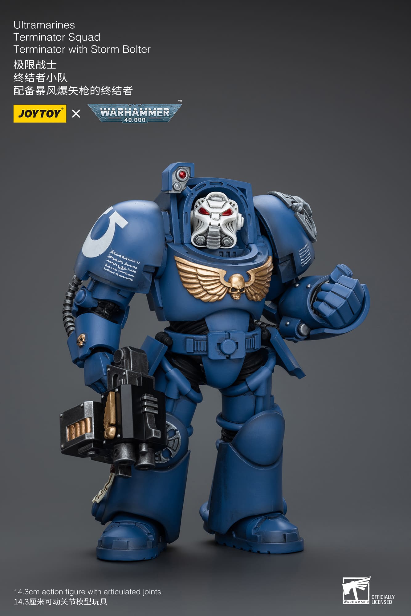 (JOYTOY) Ultramarines Terminator Squad Terminator with Storm Bolter JT9930-1717837705-EvnGA.jpg