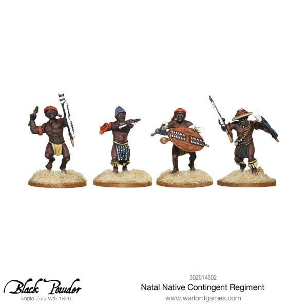 Natal Native Contingent Regiment-1718280014-i1h5T.jpg
