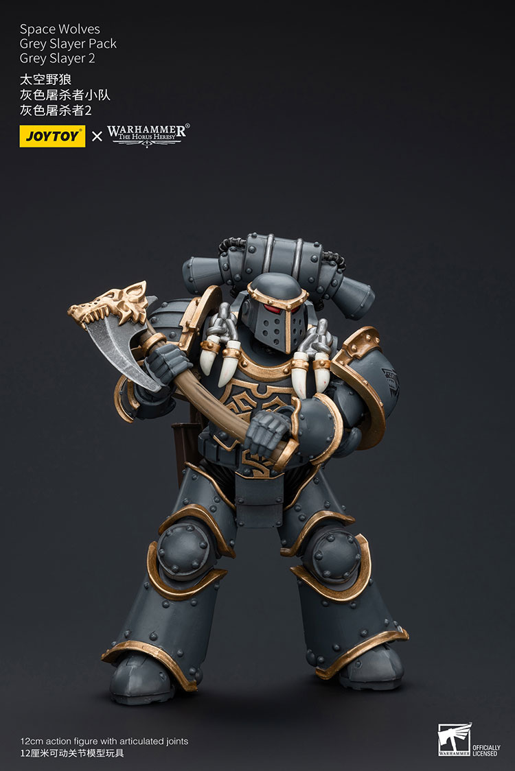 (JOYTOY) Space Wolves Grey Slayer Pack Grey Slayer2 JT7516-1721903906-BlyyS.jpg