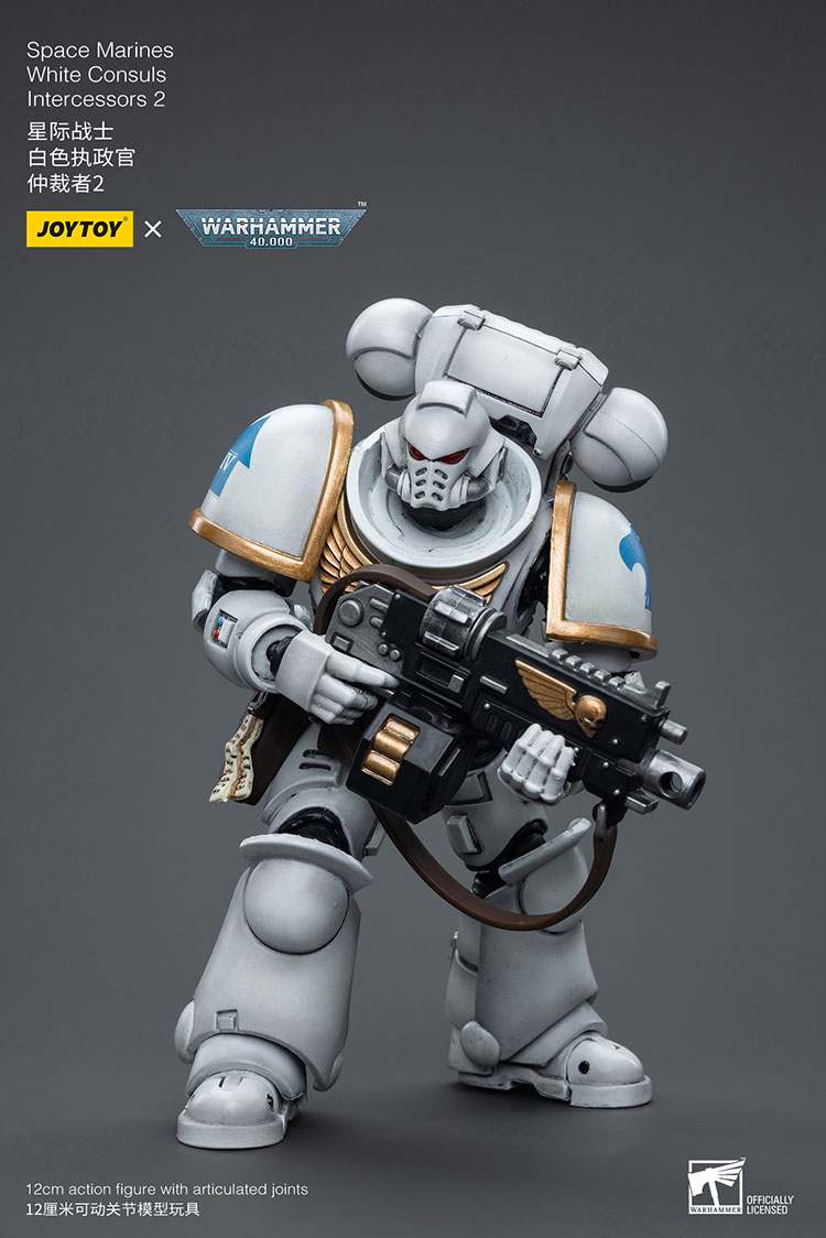 (JOYTOY) Space Marines White Consuls Intercessors 2 JT6854-1727960402-ZTPlQ.jpg