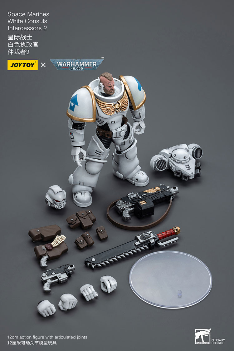 (JOYTOY) Space Marines White Consuls Intercessors 2 JT6854-1727960404-OWdUE.jpg
