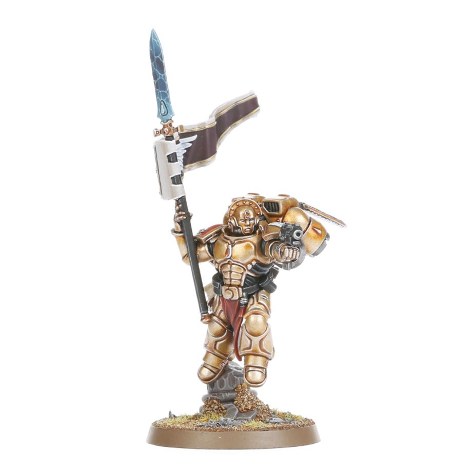 WARHAMMER 40K BLOOD ANGELS: SANGUINARY GUARD-1734941449-SqI08.jpg