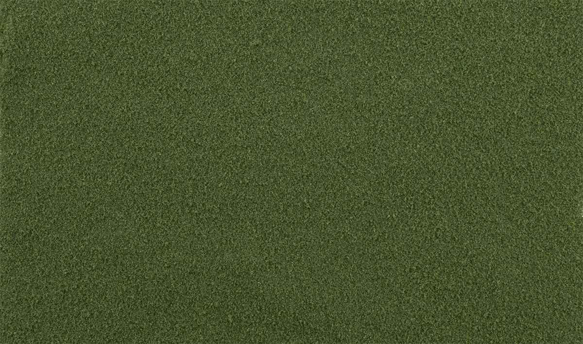 (WOODLAND SCENICS) SPRING GRASS G6436-1735310675-ljvU9.jpg