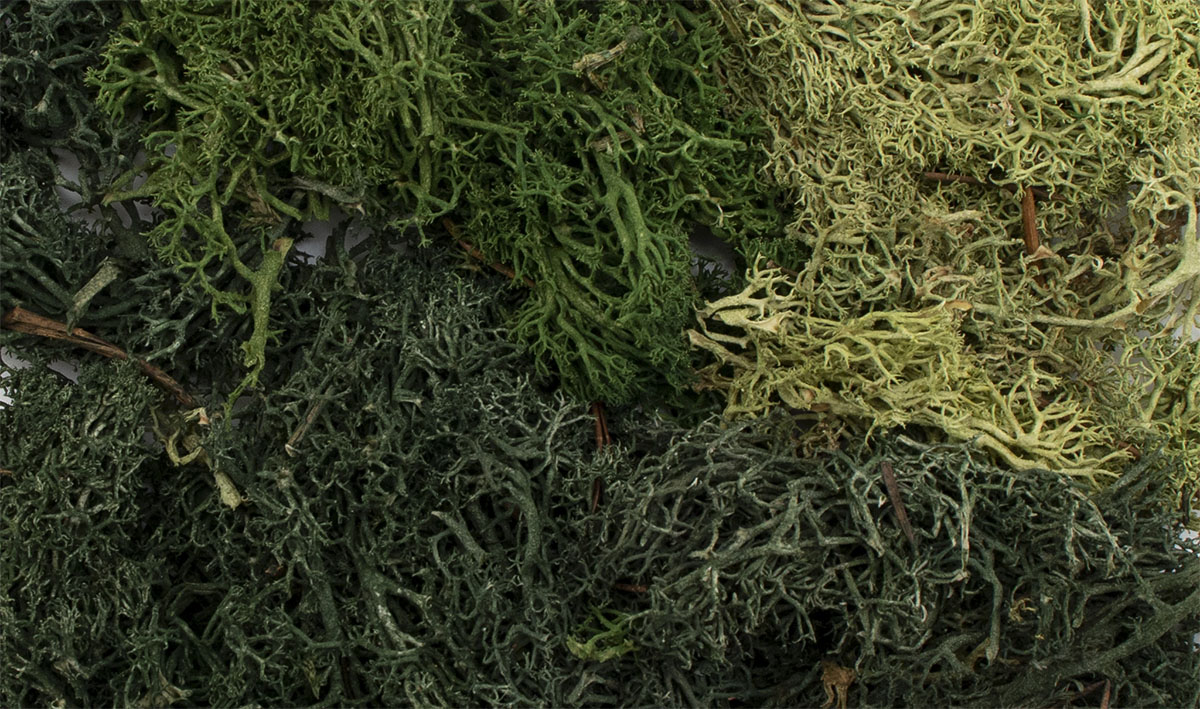 SUMMER MIX EZ BUSHES G6501-1735320908-omBhd.jpg