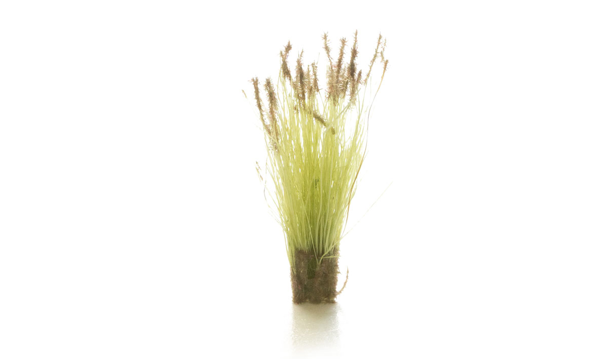 (WOODLAND SCENICS) BROWN TIPPED PRAIRIE GRASS FS779-1735322466-ldJD1.jpg