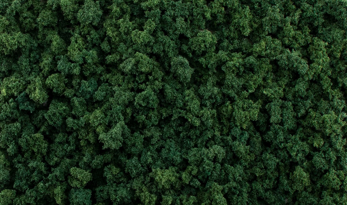 (WOODLAND SCENICS) DARK GREEN FOLIAGE CLUMPS G6463-1735919020-Mv5gk.jpg