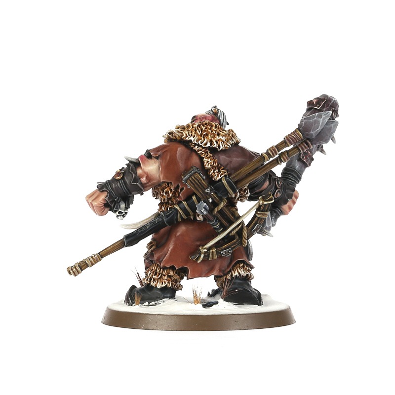WARHAMMER AOS: ICEBROW HUNTER-1748514272-jeg50.jpg