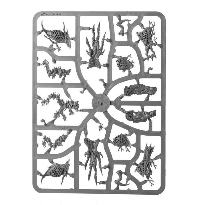 WARHAMMER AOS SYLVANETH DRYCHA HAMADRETH-1754155301-tJEQh.jpg