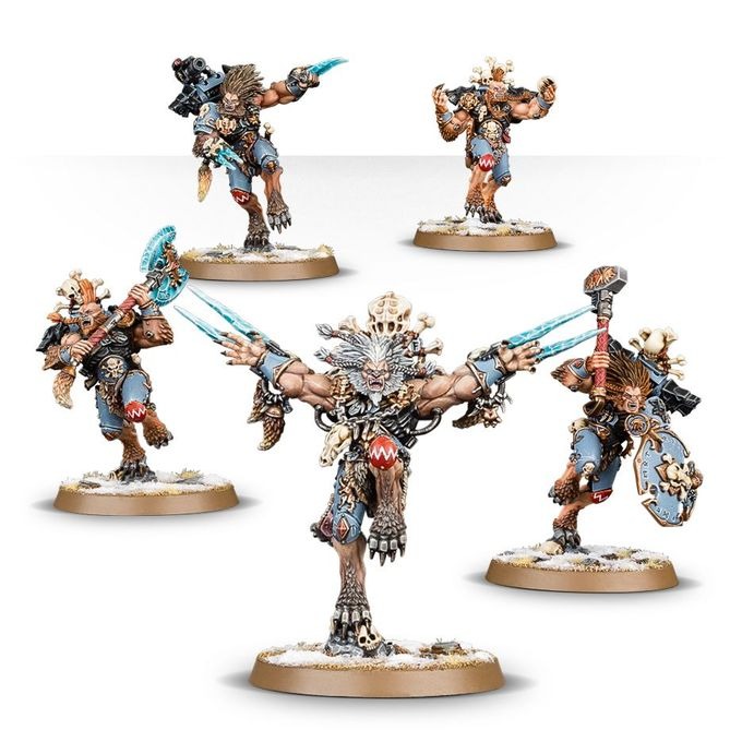 WARHAMMER 40K COMBAT PATROL: SPACE WOLVES-1754901886-61hIM.jpg