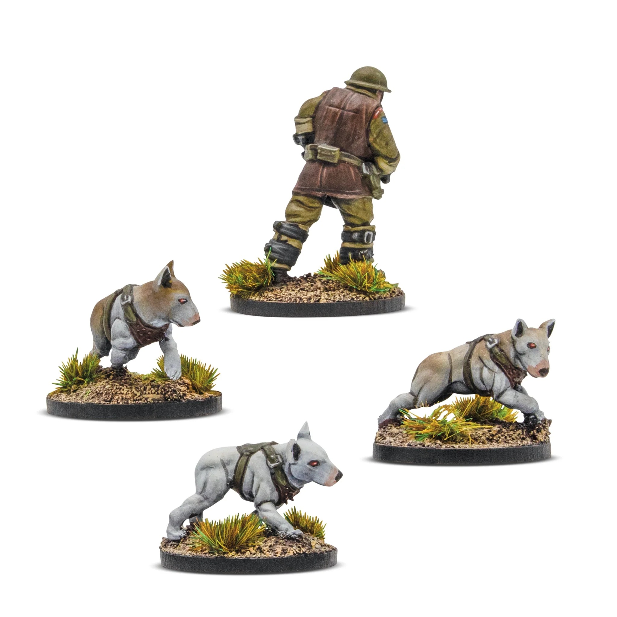 Konflikt 47 - Cerberus Squad 1 (2025 Reformat)-1769766858-VsIBq.jpg