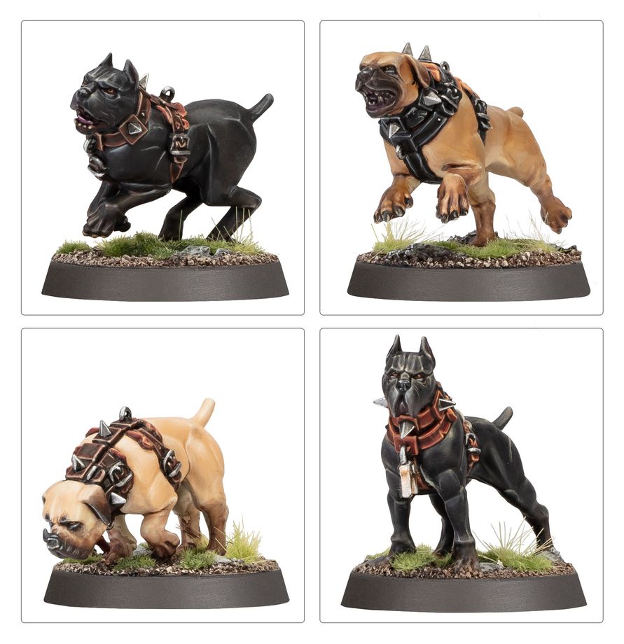 (GW) CITIES OF SIGMAR: VEN DENSTS HOUNDS-1782128715-BEcnN.jpg